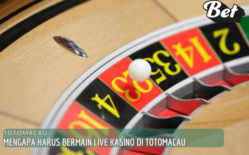 Mengapa Harus Bermain Live Kasino di Totomacau
